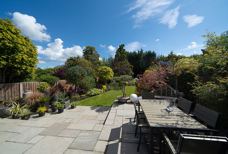 Back garden on a sunny day