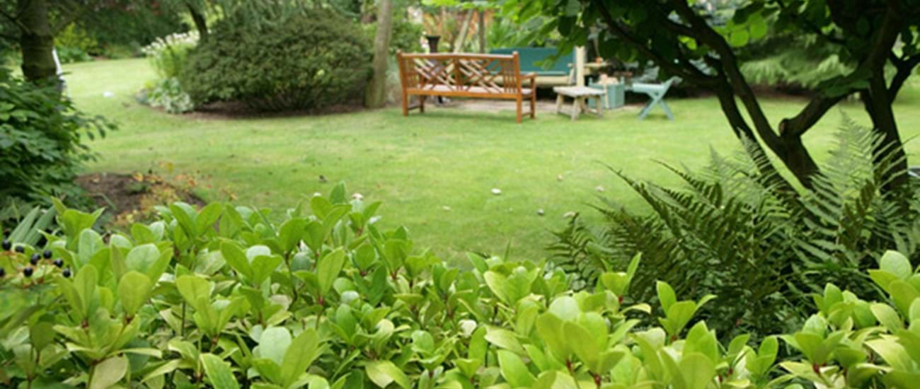 pest proof your garden 2.jpg