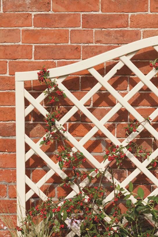 How To Attach Trellis To A Wall Or Fence Ronseal