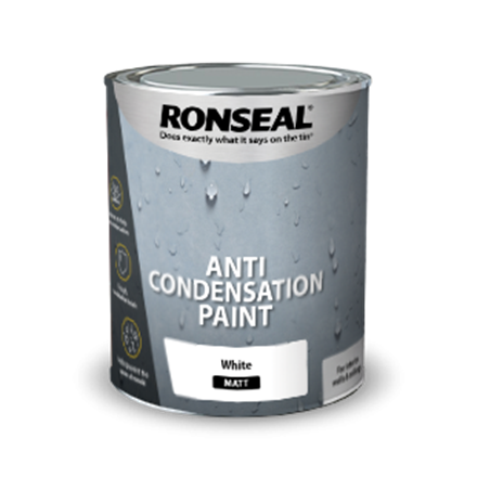 Anti Mould Paint & Anti Condensation Paint - Great Solution?